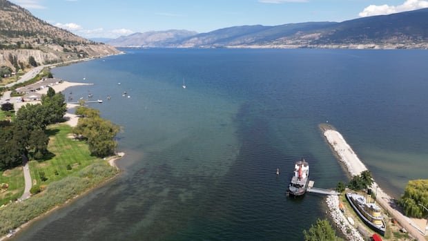 For the first time in over a century, sockeye salmon are able to return to Okanagan Lake